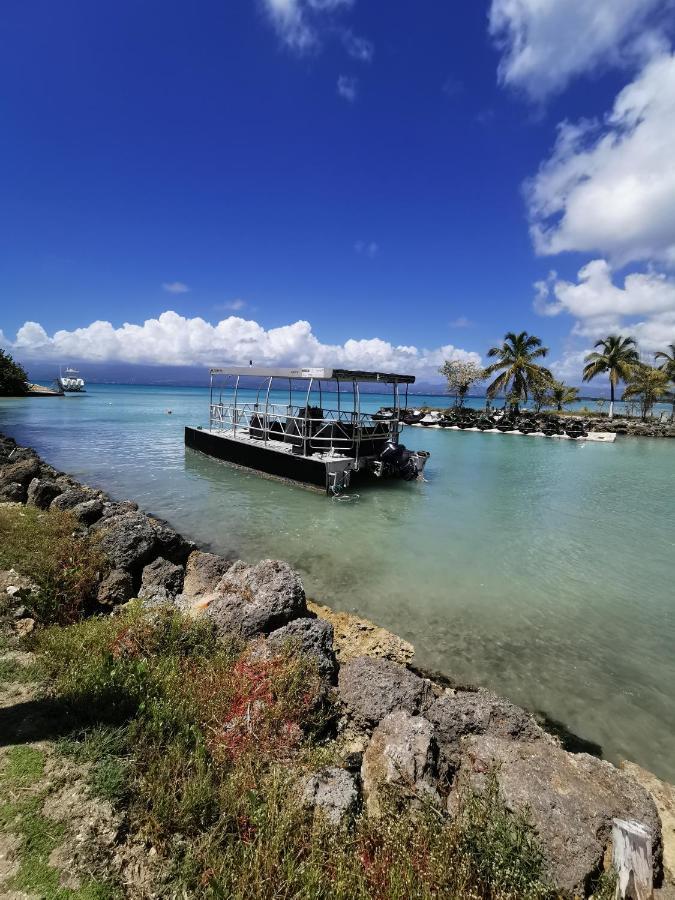 La Creole T3 Lumineux A 1Mn De La Plage Le Gosier  Exteriér fotografie